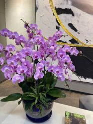 -SEBASTIAN塞巴斯汀