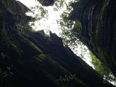 -梭布垭石林景区