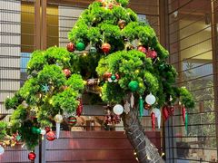 -牛村来人潮汕牛肉火锅(西单店)