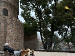 -J Create城市露营咖啡·简餐·宠物(上海动物园店)