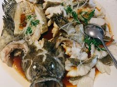 清蒸海宝石斑鱼-衡山汇·高级粤菜(霄云路店)