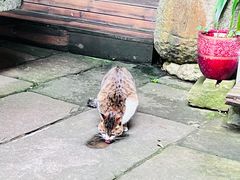 -西溪南古村落