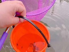 -皇粮浜湿地公园