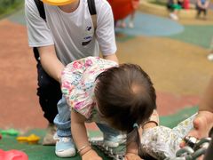 -绵阳人民公园(涪城区)