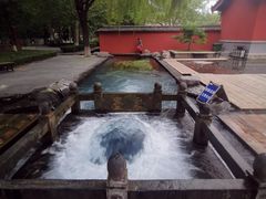 -百脉泉景区