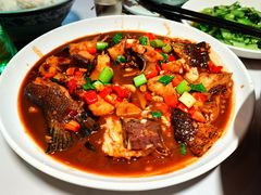 -全乐鱼馆·淳牌有机鱼直营店