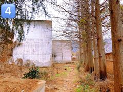 -树山生态村