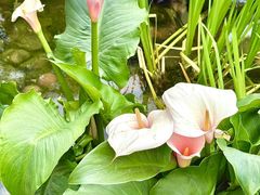 -田园印象·成都土菜院子(华阳店)