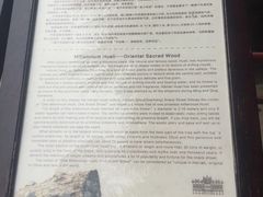 -海口骑楼小吃街