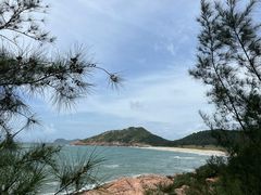 -广东惠东海龟国家级自然保护区