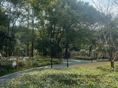 -徐家汇源景区-衡山公园