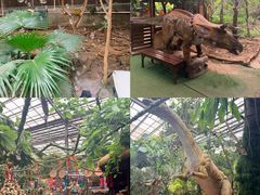 -呀路古热带植物园