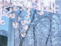 -龙美术馆(西岸馆)