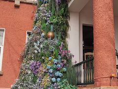 -中山路壹号传奇club·啤酒花园餐厅