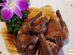 -大鸽饭(马王堆店)