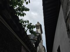 -西塘人家•黑金冠本地好店