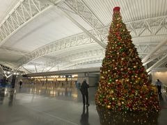 -约翰·菲茨杰拉德·肯尼迪国际机场