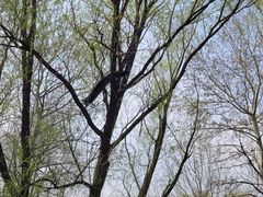 -北京麋鹿生态实验中心