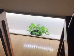 -常乐·对症推拿(解放碑英利大融城店)