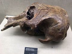 -呼伦贝尔民族博物馆