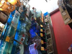 -蔚海之都·象山蒸汽海鲜(仙霞路店)