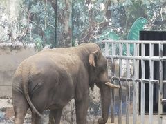 -西安秦岭野生动物园