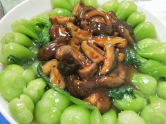 香菇扒油菜-国庆烧麦馆