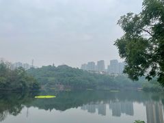 -重庆彩云湖湿地公园