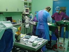 -瑞鹏宠物医院·爱宠堂·骨外专科(西荷分院)