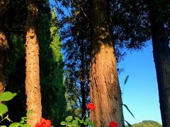 -北京宽沟会议中心