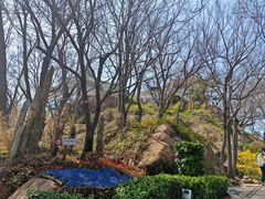 -青岛海滨风景区小鱼山