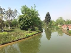 -白鹭湾湿地公园