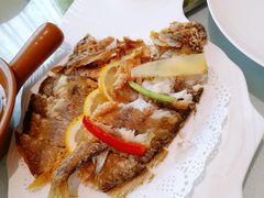 香煎黄鱼鲞-骏莱海鲜鱼港(五角场店)