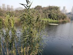 -重庆彩云湖湿地公园