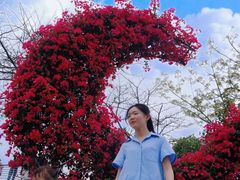 -东莞植物园