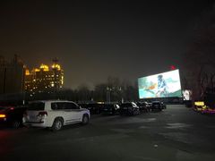 -枫花园汽车电影院(朝阳公园店)
