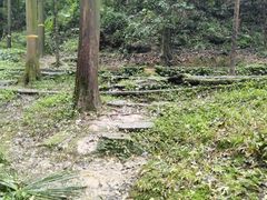 -凤栖山