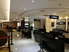 -知音艺术教育培训·钢琴培训·音乐培训(河西金鹰世界校区)