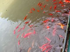 -陶祖圣境风景区