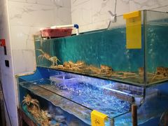 水产区-星龙海鲜(望江东路店)