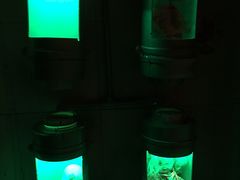 -秃鹫湾·推理大师沉浸式实景演绎推理剧场