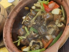 -天宝食坊·啫啫煲大排档(西华路店)