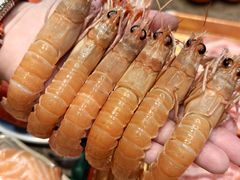 -亚马逊蒸汽活海鲜自助(LCM置汇旭辉广场店)