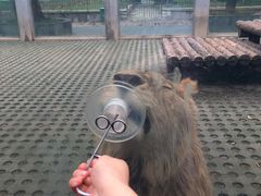 -西安秦岭野生动物园