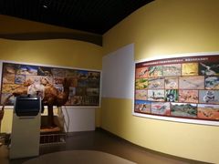 -恩格贝生态旅游区