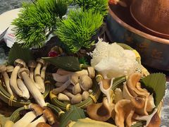 -慢丽江·云南野生菌土鸡锅(西山店)