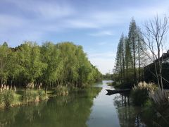 景点-昆山城市生态森林公园