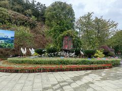 -广州白江湖森林公园