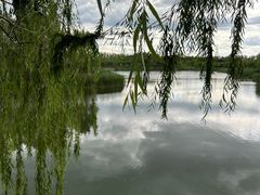 -马家湾湿地公园
