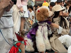 -华谊兄弟（长沙）电影小镇